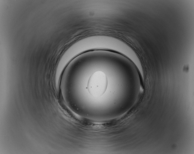 X0000116000409200911191429