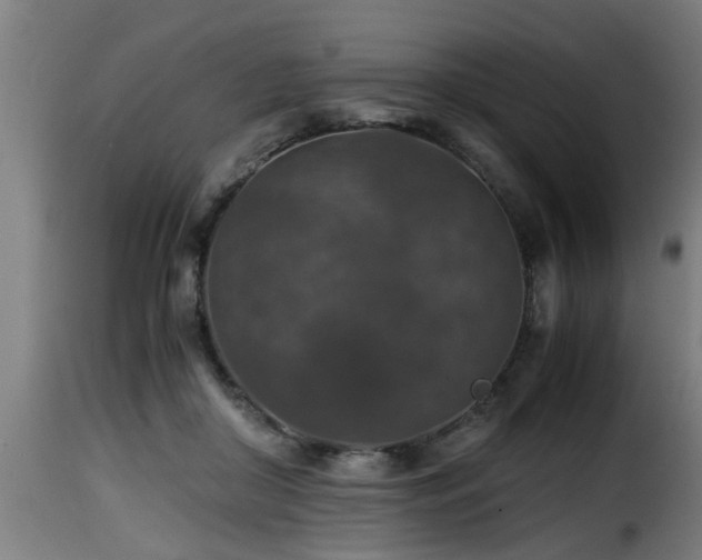 X0000116000410200911191429