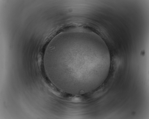 X0000116000412200911191429