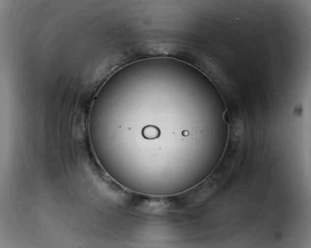 X0000116000414200911191429