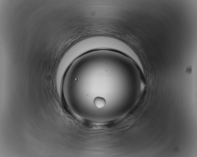 X0000116000415200911191429