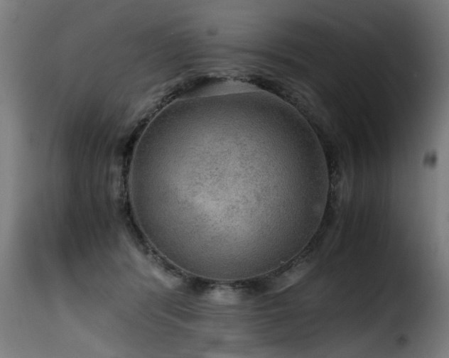 X0000116000416200911191429