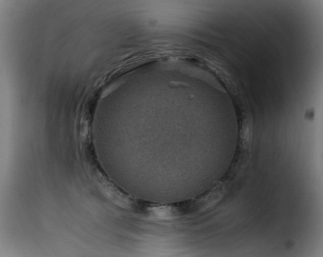 X0000116000417200911191429