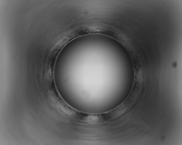 X0000116000418200911191429