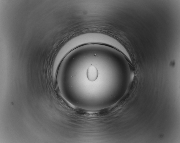 X0000116000419200911191429