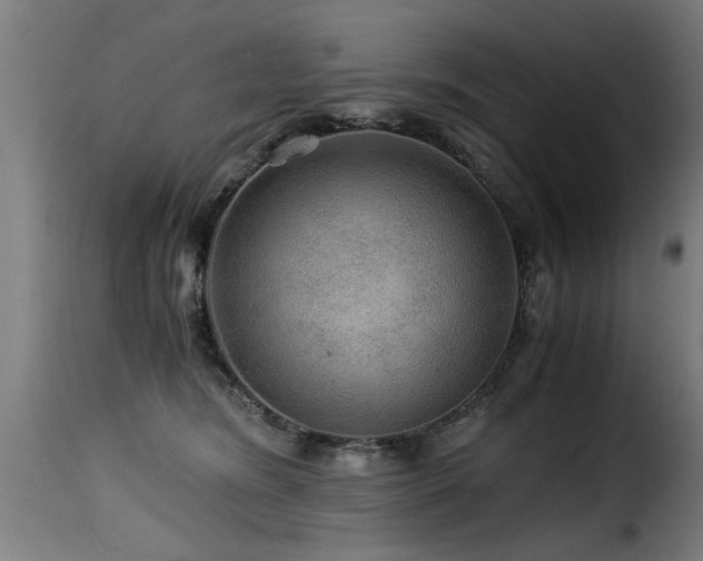 X0000116000420200911191429