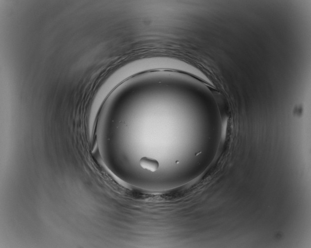 X0000116000423200911191429