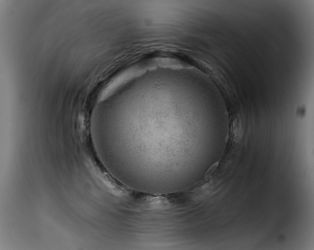 X0000116000424200911191429