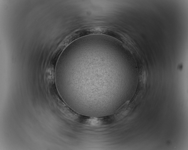 X0000116000425200911191429