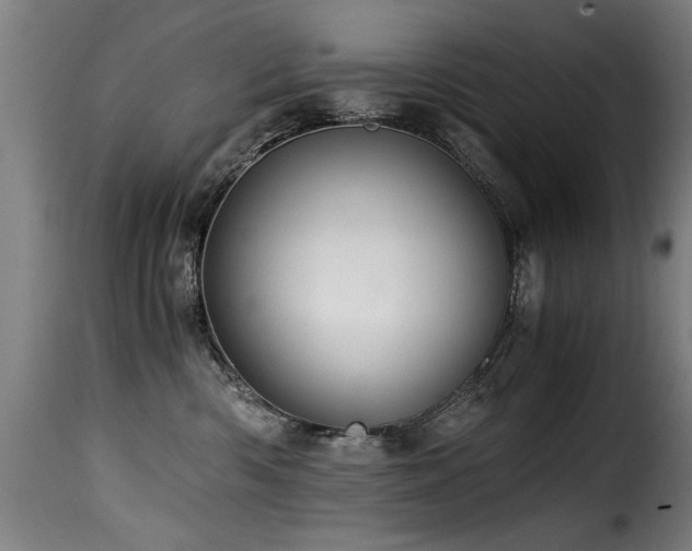 X0000116000426200911191429