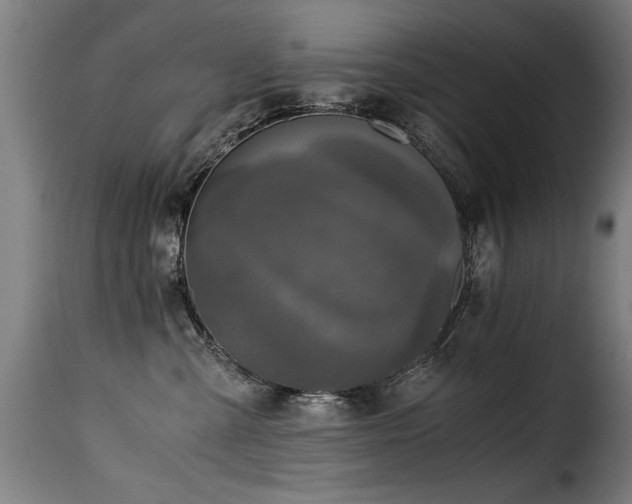 X0000116000427200911191429