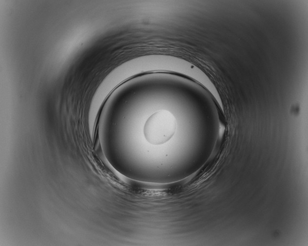 X0000116000429200911191428