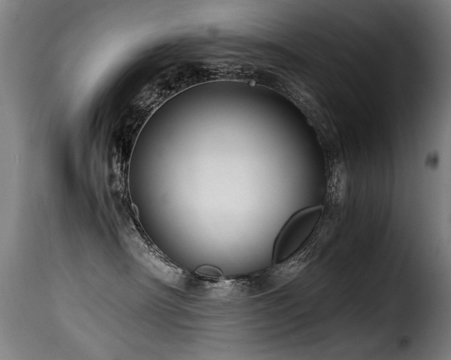 X0000116000430200911191428