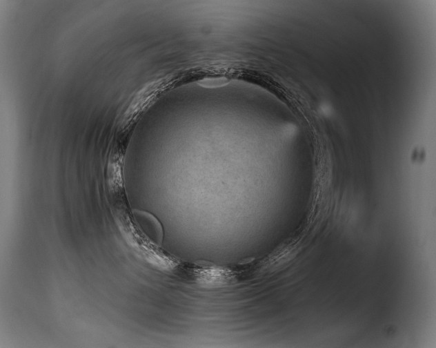 X0000116000432200911191428