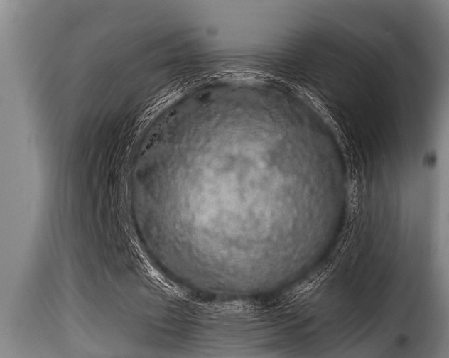 X0000116000433200911191428