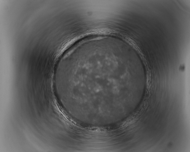 X0000116000434200911191428