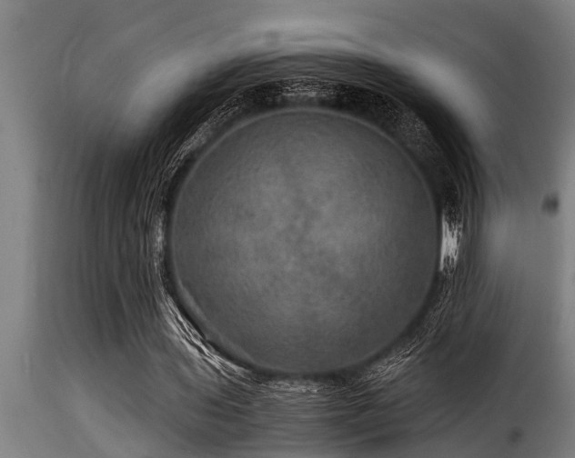 X0000116000435200911191428