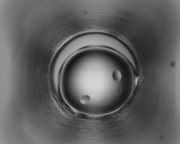 X0000116000436200911191428