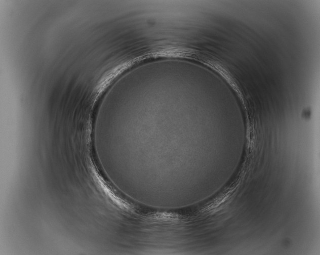 X0000116000437200911191428