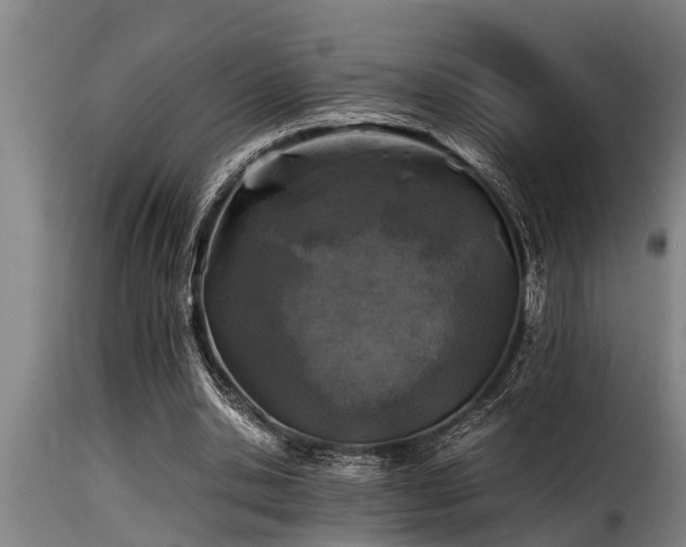 X0000116000438200911191428