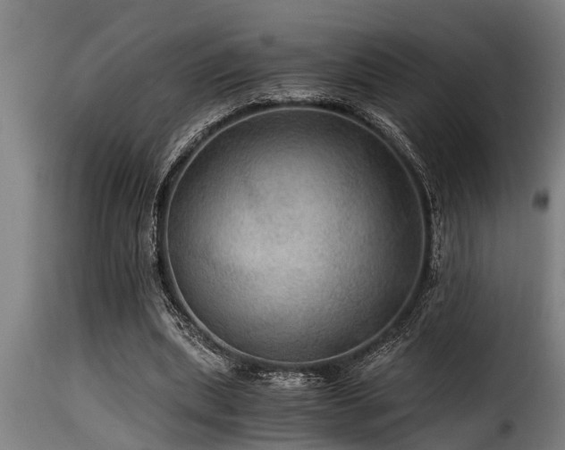 X0000116000439200911191428