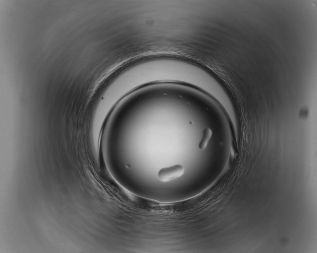 X0000116000440200911191428