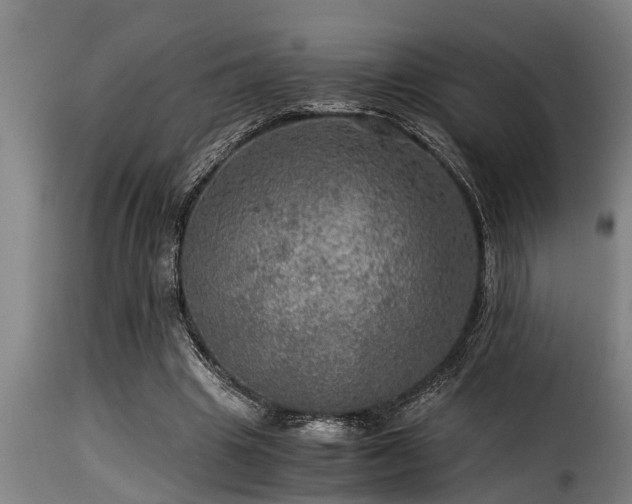 X0000116000441200911191428