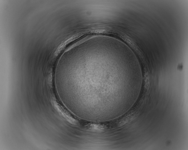 X0000116000442200911191428