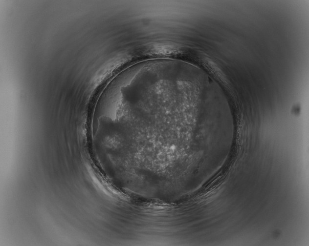 X0000116000443200911191428