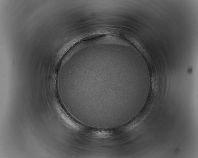 X0000116000445200911191428