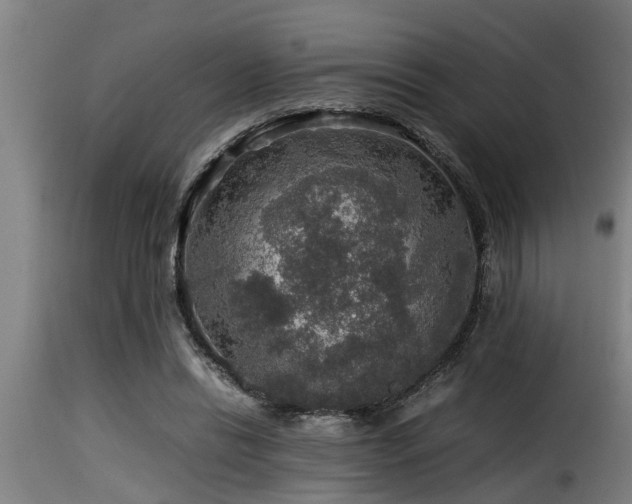 X0000116000446200911191428