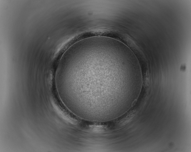 X0000116000448200911191428