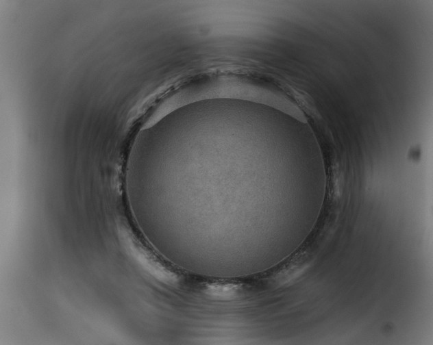 X0000116000450200911191428