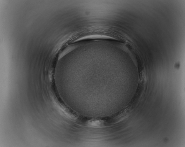 X0000116000452200911191428