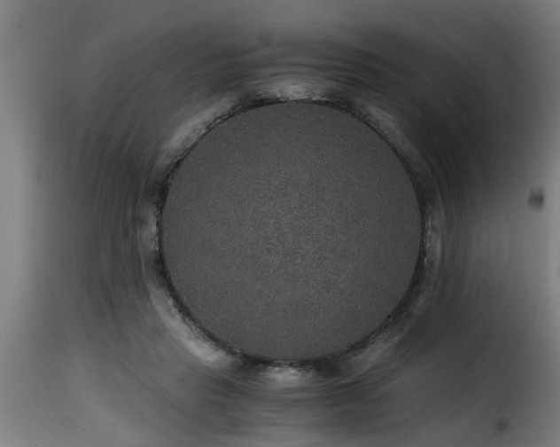 X0000116000453200911191428