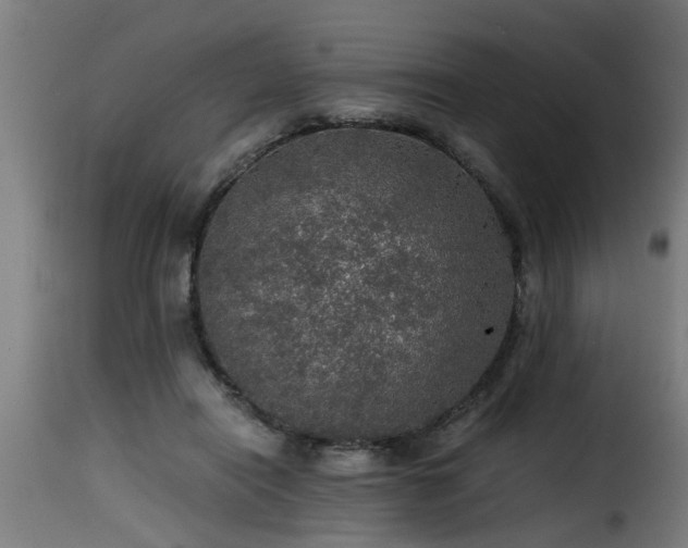 X0000116000454200911191428