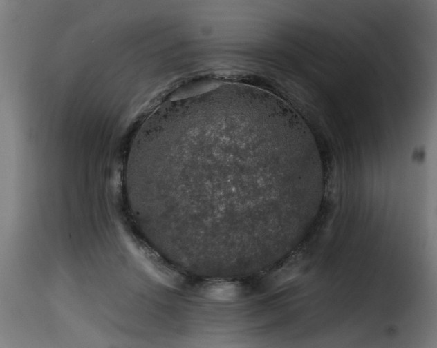 X0000116000456200911191428