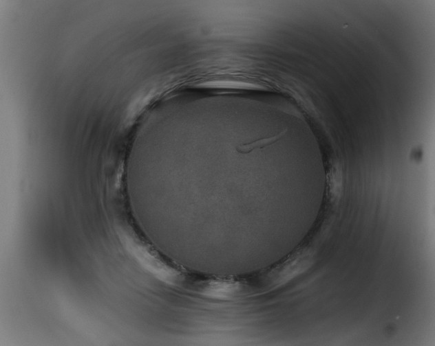 X0000116000458200911191428