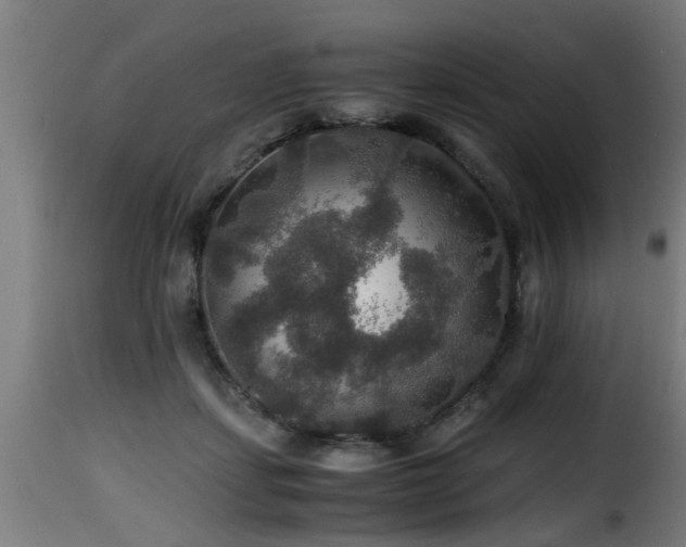 X0000116000459200911191428