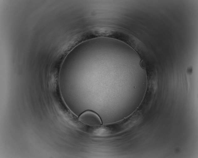 X0000116000460200911191428