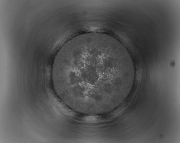 X0000116000461200911191428