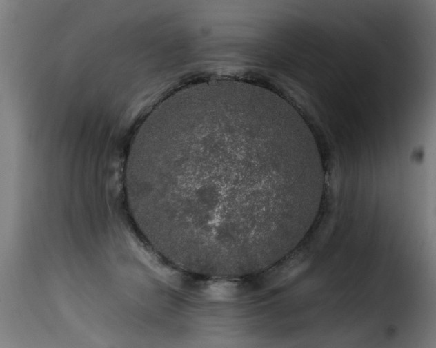 X0000116000462200911191428