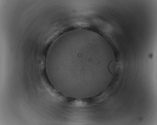 X0000116000464200911191428