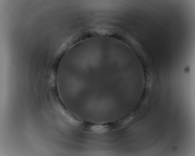 X0000116000465200911191428