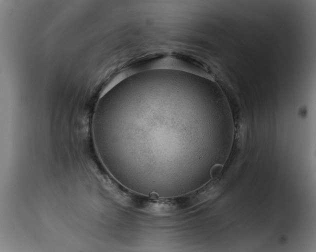 X0000116000466200911191428