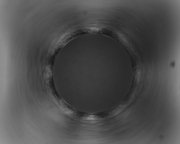 X0000116000467200911191428