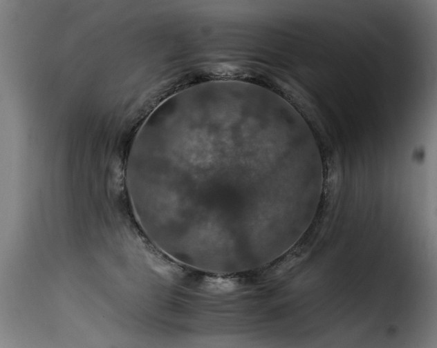 X0000116000469200911191428