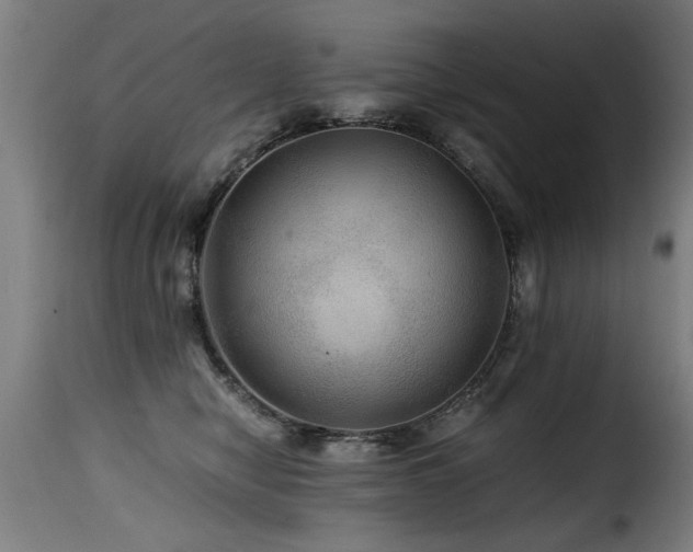 X0000116000470200911191428