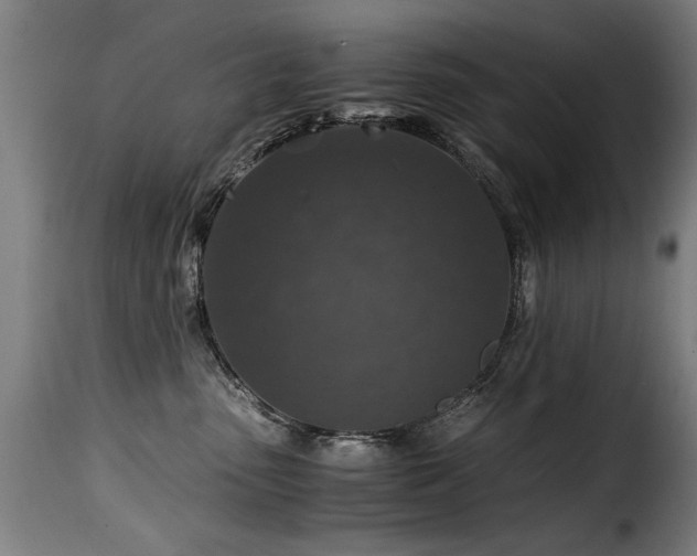 X0000116000475200911191428