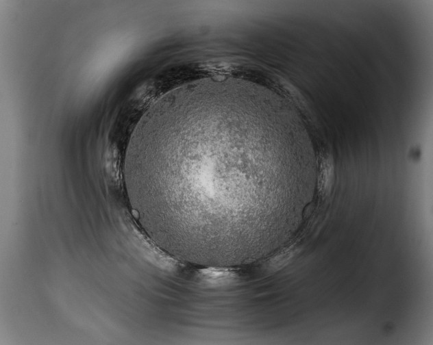 X0000116000477200911191428